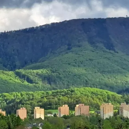 Bujaki